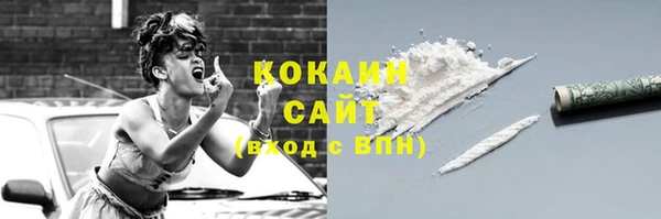 шишки Суровикино