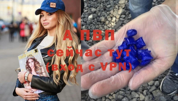 мескалин Сураж