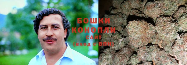 шишки Суровикино